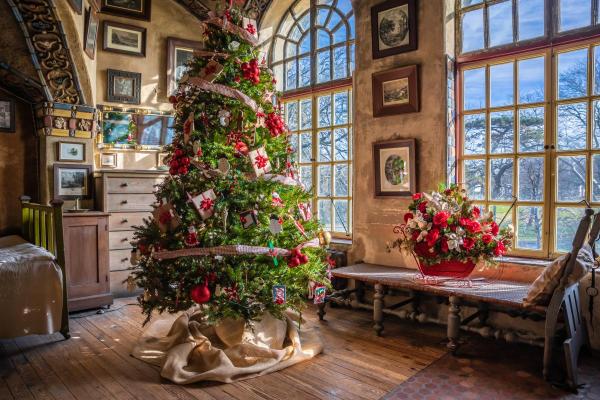 A decorated Font Hill Christmas Tree